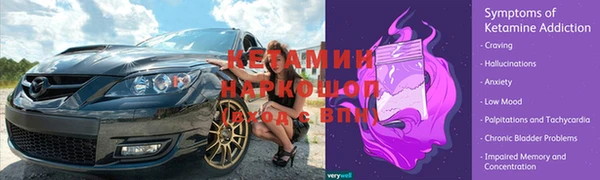 сатива Каменка