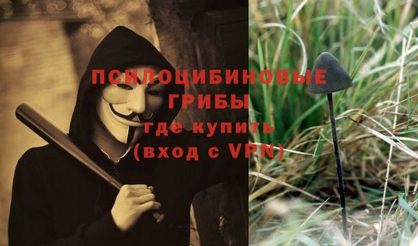 синтетический гашиш Богородск