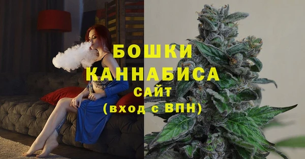спайс Богородицк