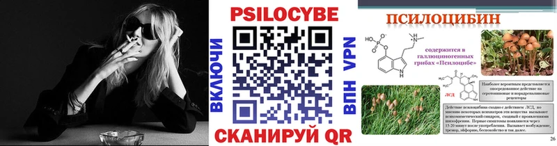 Галлюциногенные грибы Psilocybe  сколько стоит  Будённовск 